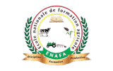 website logo